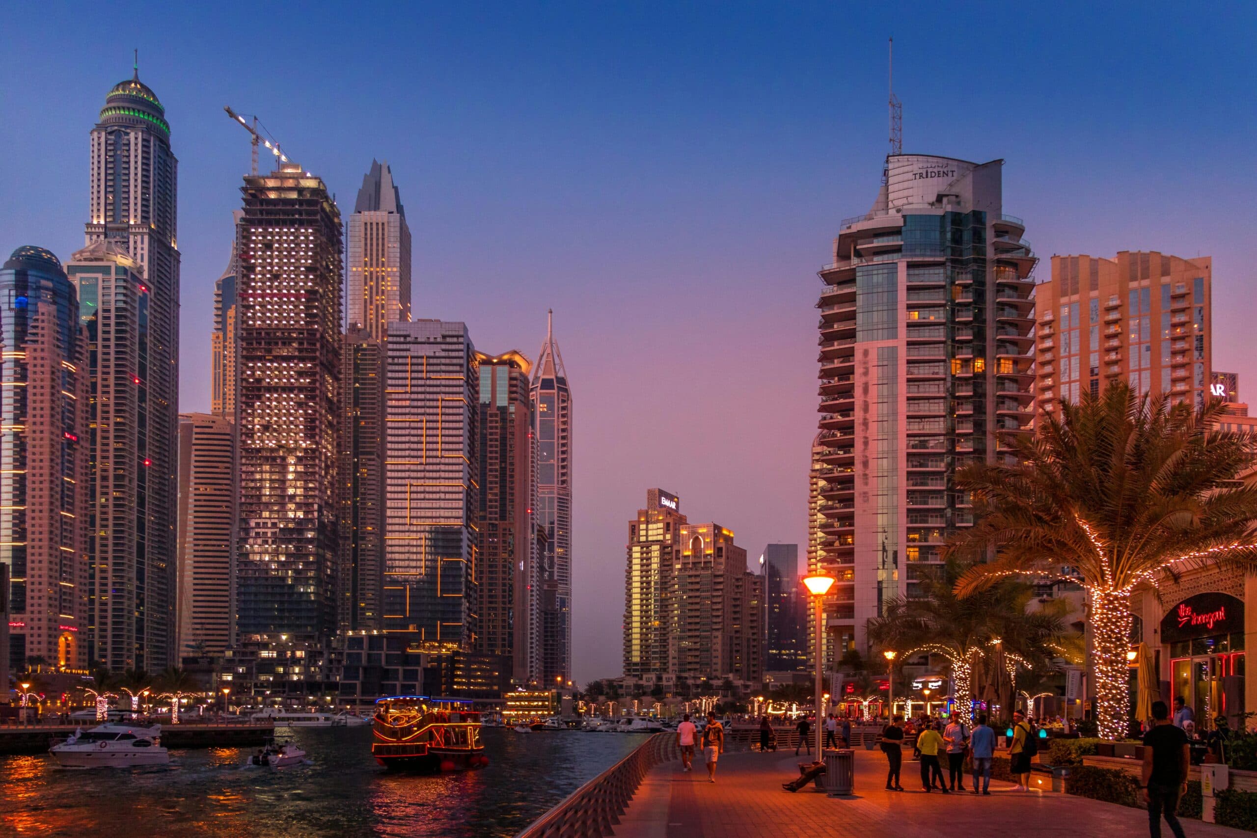 How to Leverage Government Support Programs for Your UAE Business