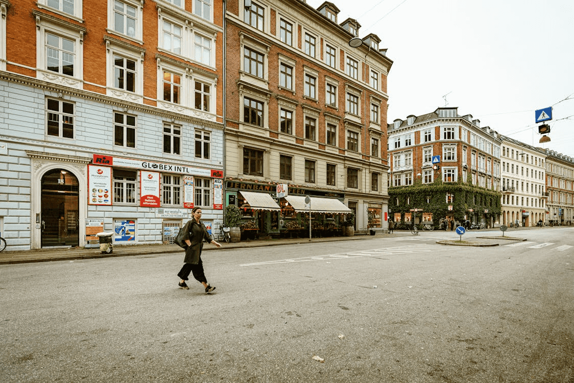 VAT ID Verification: Verify Denmark Tax Registration Number